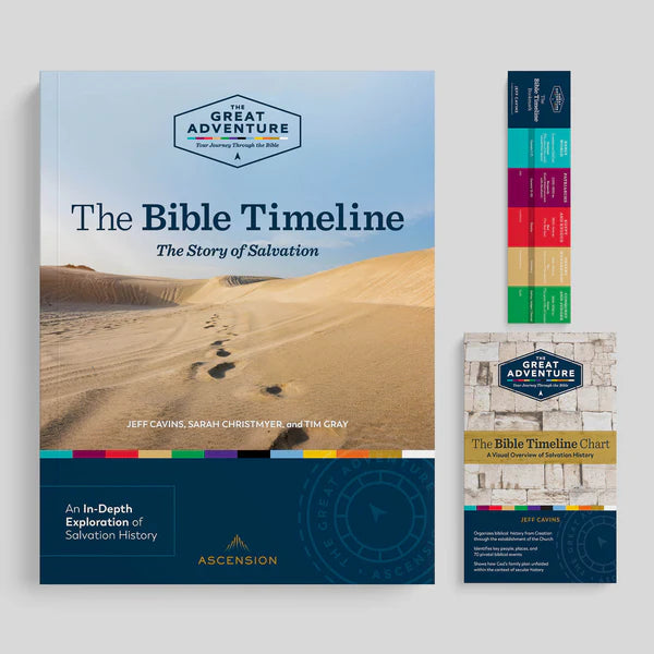 2024 Bible Timeline Workbook-Story of Salvation without Online Access