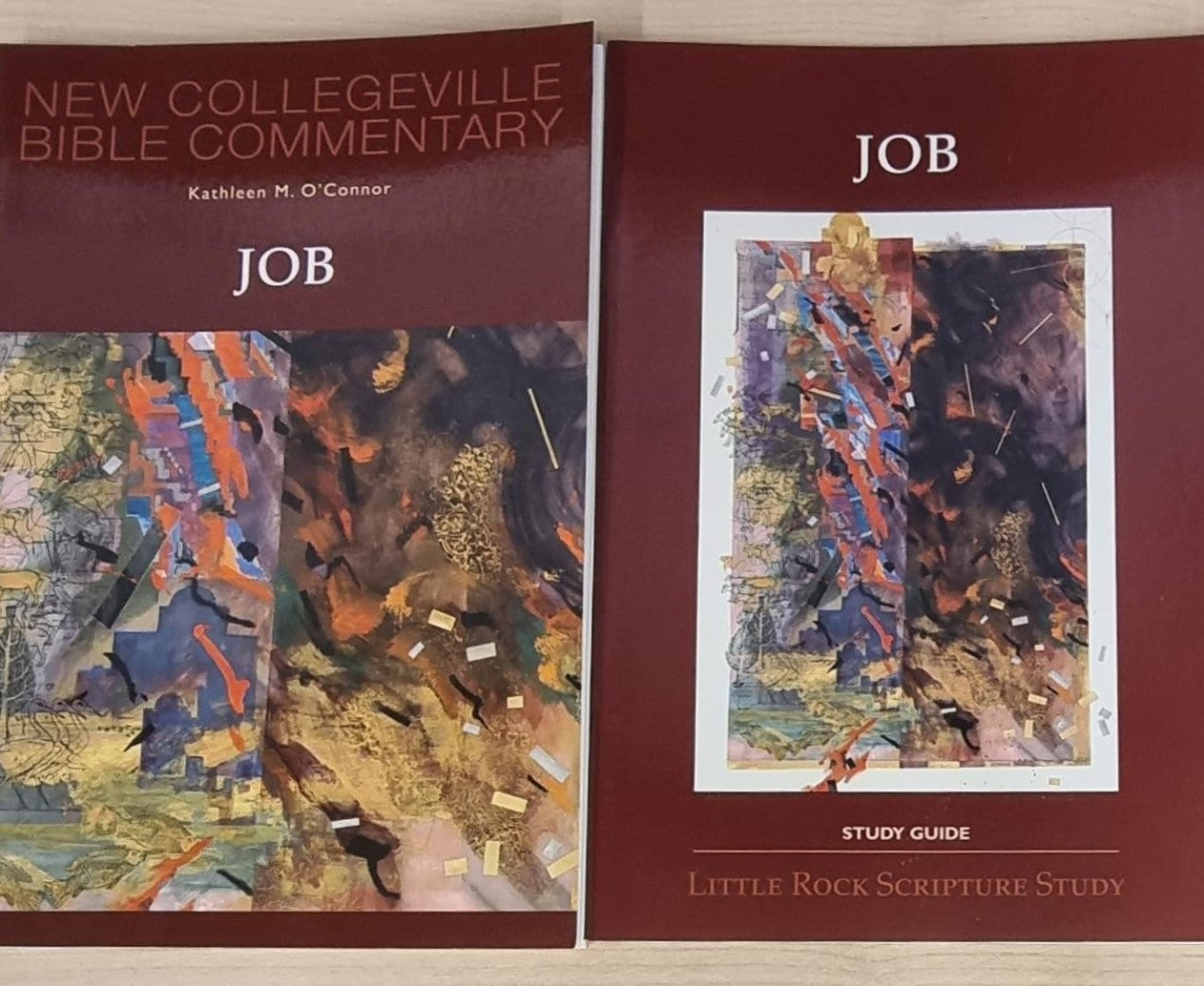 LRSS Job : New Collegeville Bible Commentary (Old Testament Volume 19) without Answer Guide