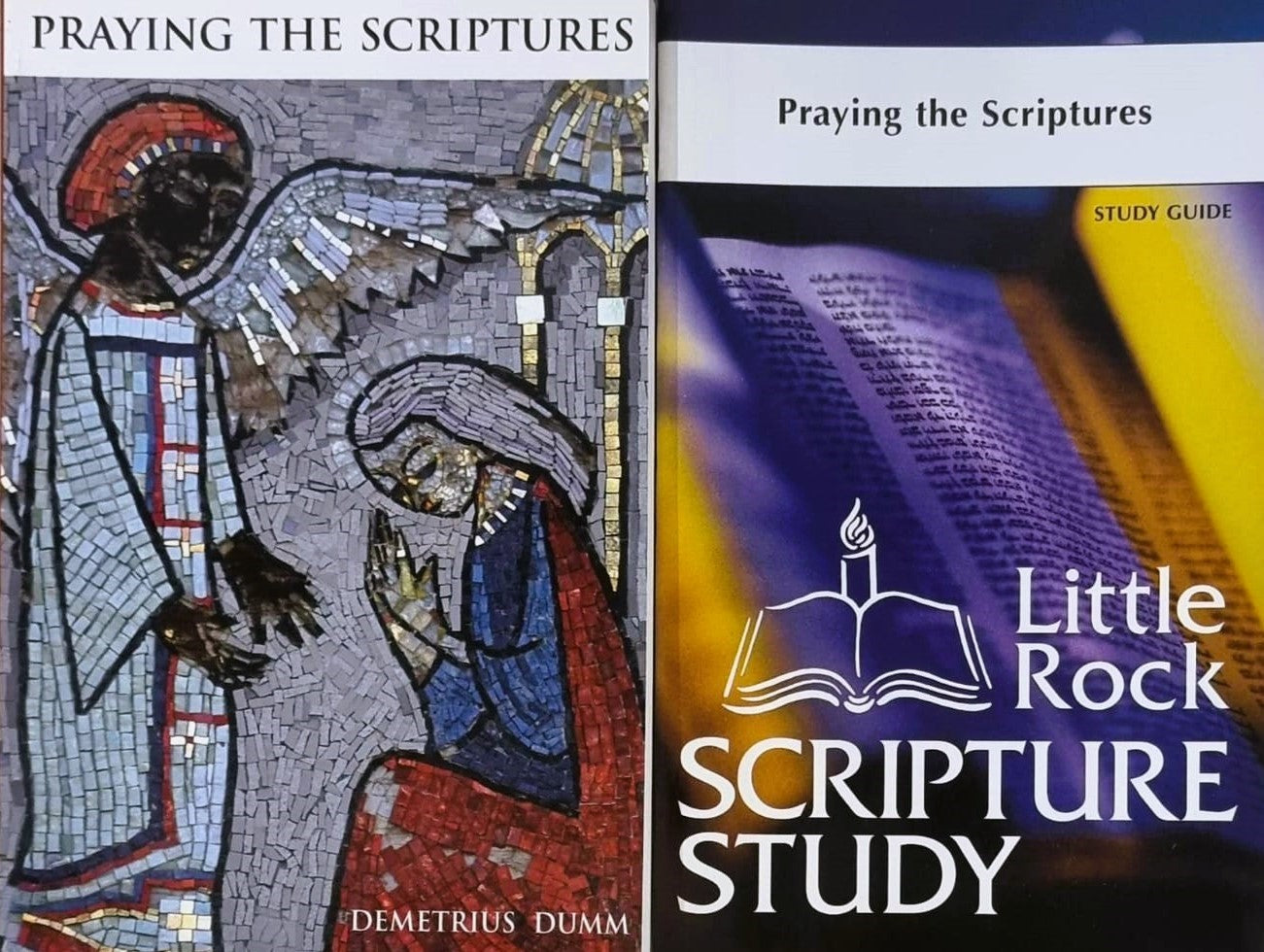 LRSS Praying The Scriptures Study Guide Full Set w/o Answer Guide
