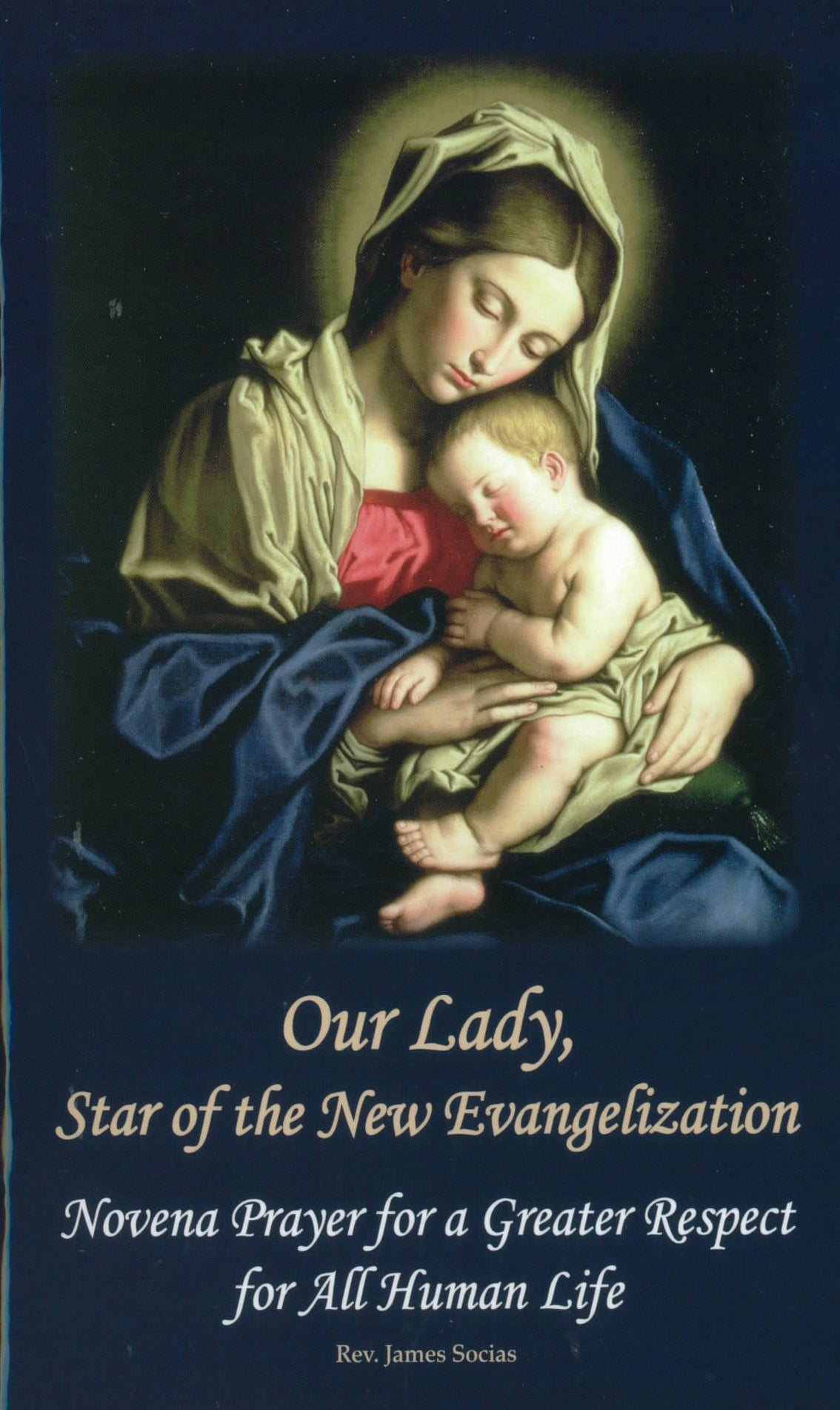Our Lady, Star of the New Evangelization : 
Novena Prayer for a Greater Respect for All Human Life