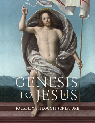 Journey Through Scripture : Genesis To Jesus
(Leader's Guide)