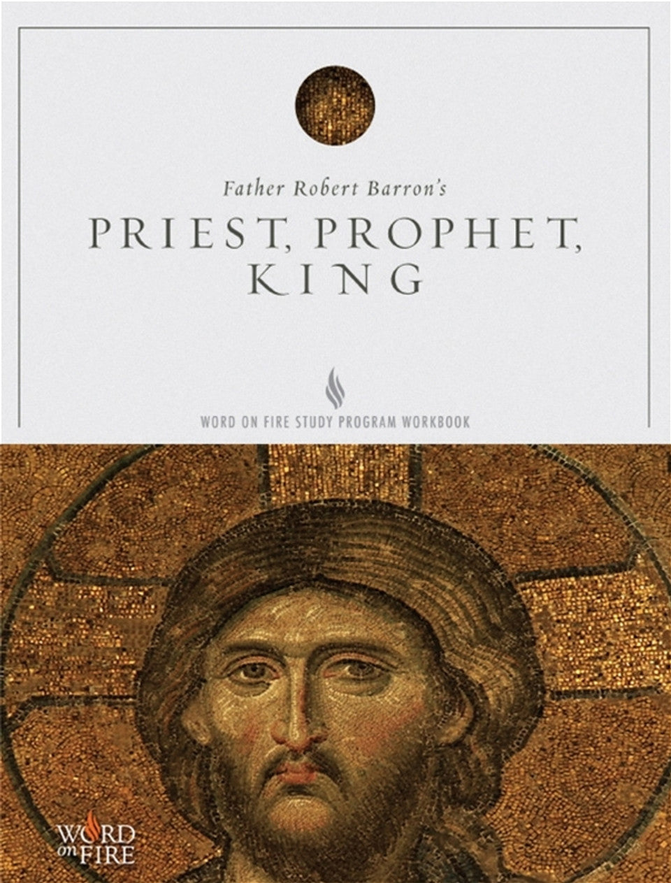 Father's Robert Barron's Priest, Prophet, King Word on Fire Study Program Workbook