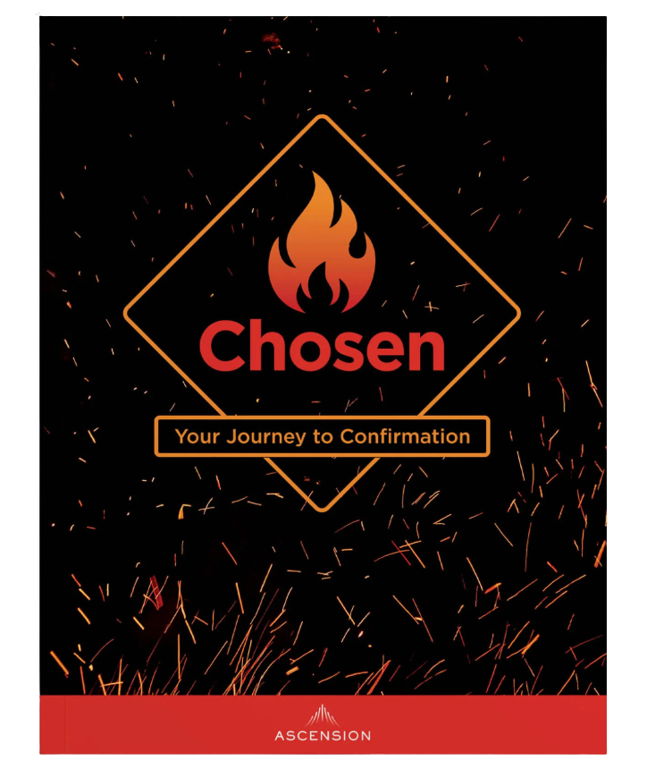 Chosen: Your Journey to Confirmation, Student Workbook Only
