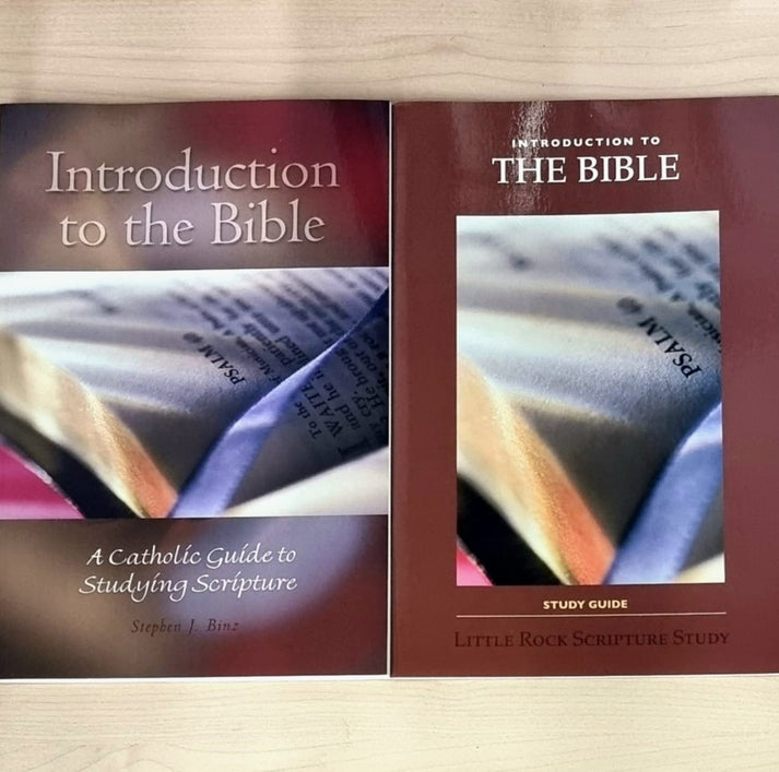 LRSS Introduction to the Bible : A Catholic Guide to Studying Scriptur ...